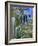 Jardin Majorelle, Marrakech, Morocco, North Africa, Africa-Nico Tondini-Framed Photographic Print