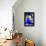 Jardin Majorelle - Marrakech - Morocco - North Africa - Africa-Philippe Hugonnard-Framed Premier Image Canvas displayed on a wall