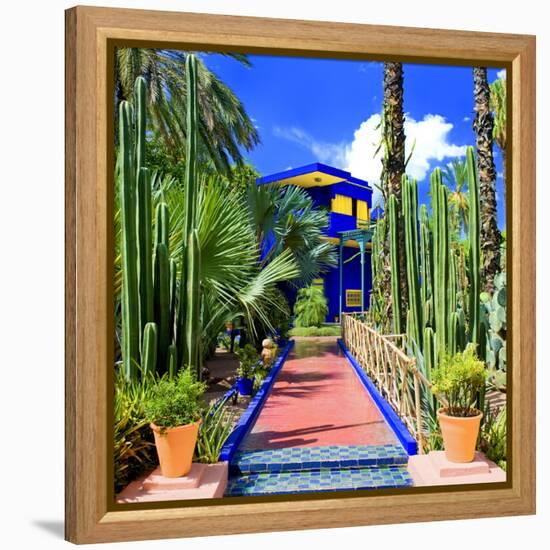 Jardin Majorelle - Marrakech - Morocco - North Africa - Africa-Philippe Hugonnard-Framed Premier Image Canvas