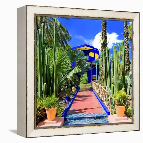 Jardin Majorelle - Marrakech - Morocco - North Africa - Africa-Philippe Hugonnard-Framed Premier Image Canvas