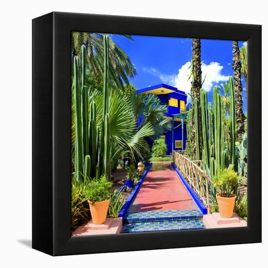 Jardin Majorelle - Marrakech - Morocco - North Africa - Africa-Philippe Hugonnard-Framed Premier Image Canvas