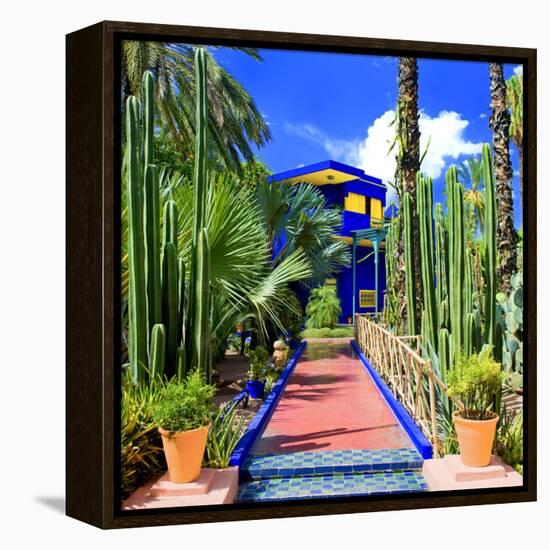 Jardin Majorelle - Marrakech - Morocco - North Africa - Africa-Philippe Hugonnard-Framed Premier Image Canvas