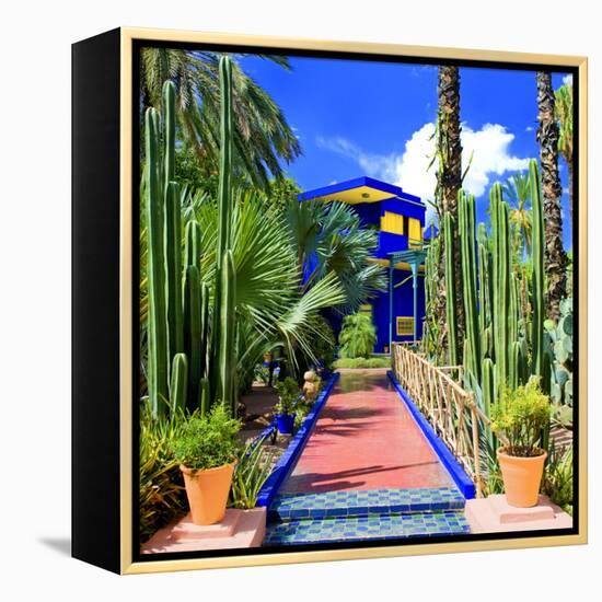 Jardin Majorelle - Marrakech - Morocco - North Africa - Africa-Philippe Hugonnard-Framed Premier Image Canvas