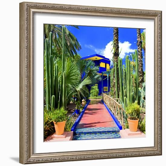 Jardin Majorelle - Marrakech - Morocco - North Africa - Africa-Philippe Hugonnard-Framed Photographic Print