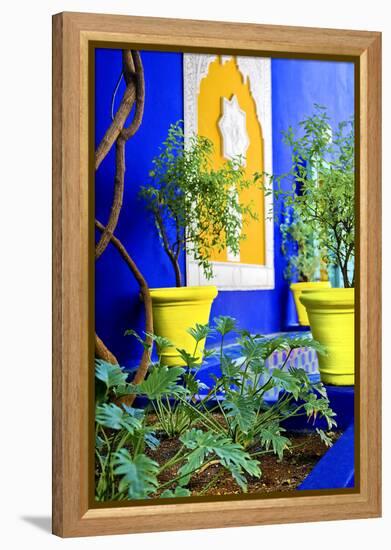 Jardin Majorelle - Marrakech - Morocco - North Africa - Africa-Philippe Hugonnard-Framed Premier Image Canvas