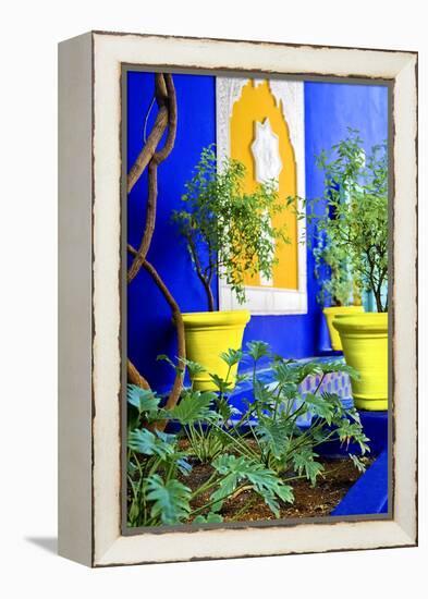 Jardin Majorelle - Marrakech - Morocco - North Africa - Africa-Philippe Hugonnard-Framed Premier Image Canvas