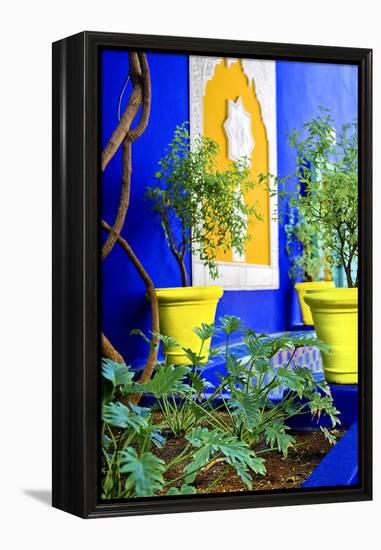 Jardin Majorelle - Marrakech - Morocco - North Africa - Africa-Philippe Hugonnard-Framed Premier Image Canvas