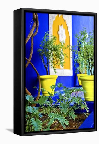 Jardin Majorelle - Marrakech - Morocco - North Africa - Africa-Philippe Hugonnard-Framed Premier Image Canvas