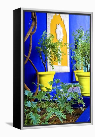 Jardin Majorelle - Marrakech - Morocco - North Africa - Africa-Philippe Hugonnard-Framed Premier Image Canvas