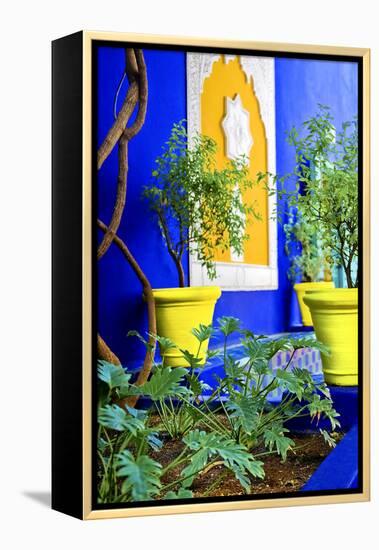 Jardin Majorelle - Marrakech - Morocco - North Africa - Africa-Philippe Hugonnard-Framed Premier Image Canvas