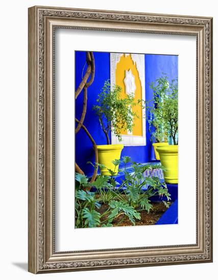 Jardin Majorelle - Marrakech - Morocco - North Africa - Africa-Philippe Hugonnard-Framed Photographic Print