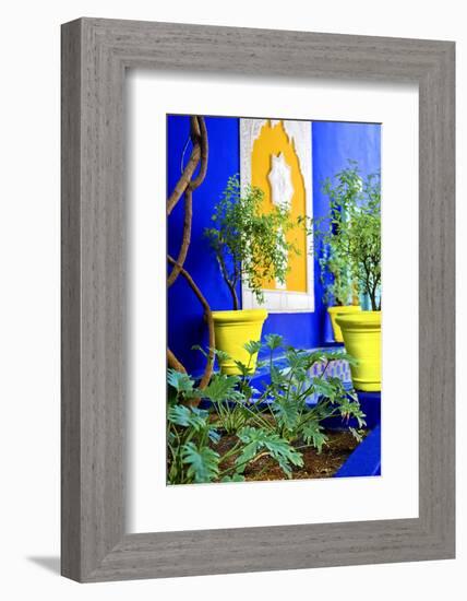 Jardin Majorelle - Marrakech - Morocco - North Africa - Africa-Philippe Hugonnard-Framed Photographic Print