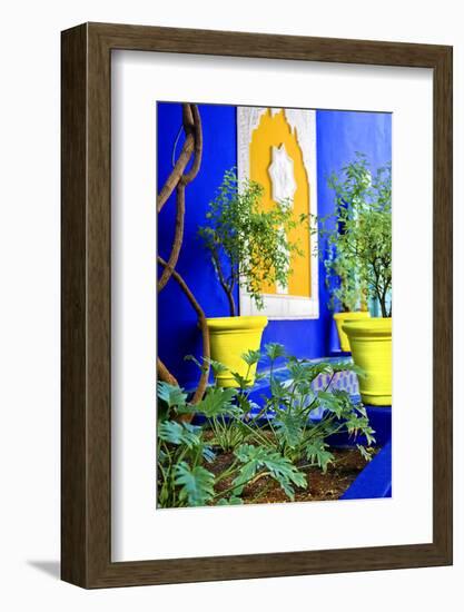 Jardin Majorelle - Marrakech - Morocco - North Africa - Africa-Philippe Hugonnard-Framed Photographic Print