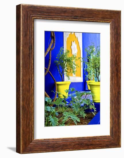 Jardin Majorelle - Marrakech - Morocco - North Africa - Africa-Philippe Hugonnard-Framed Photographic Print