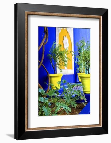 Jardin Majorelle - Marrakech - Morocco - North Africa - Africa-Philippe Hugonnard-Framed Photographic Print