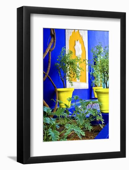 Jardin Majorelle - Marrakech - Morocco - North Africa - Africa-Philippe Hugonnard-Framed Photographic Print