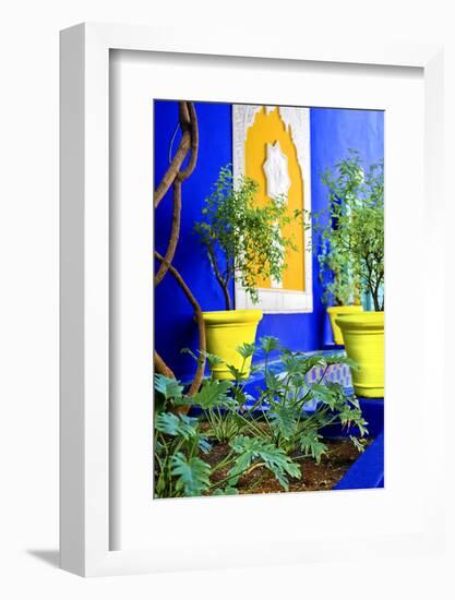 Jardin Majorelle - Marrakech - Morocco - North Africa - Africa-Philippe Hugonnard-Framed Photographic Print