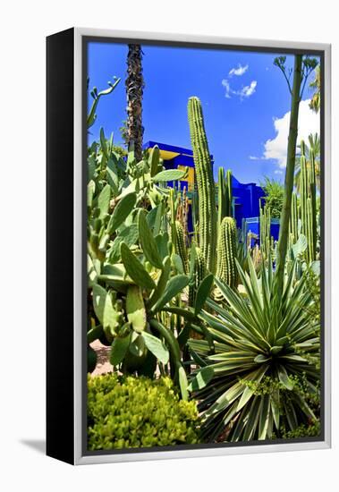 Jardin Majorelle - Marrakech - Morocco - North Africa - Africa-Philippe Hugonnard-Framed Premier Image Canvas