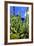 Jardin Majorelle - Marrakech - Morocco - North Africa - Africa-Philippe Hugonnard-Framed Photographic Print