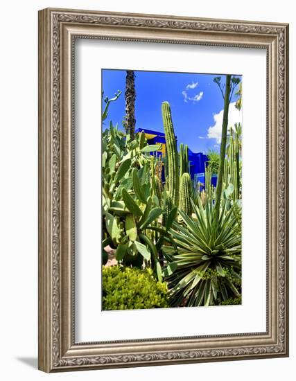 Jardin Majorelle - Marrakech - Morocco - North Africa - Africa-Philippe Hugonnard-Framed Photographic Print