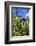 Jardin Majorelle - Marrakech - Morocco - North Africa - Africa-Philippe Hugonnard-Framed Photographic Print