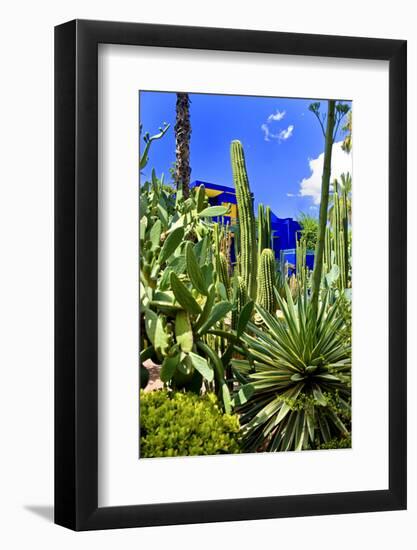 Jardin Majorelle - Marrakech - Morocco - North Africa - Africa-Philippe Hugonnard-Framed Photographic Print