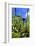 Jardin Majorelle - Marrakech - Morocco - North Africa - Africa-Philippe Hugonnard-Framed Photographic Print