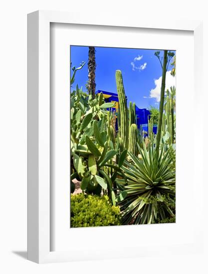 Jardin Majorelle - Marrakech - Morocco - North Africa - Africa-Philippe Hugonnard-Framed Photographic Print