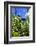 Jardin Majorelle - Marrakech - Morocco - North Africa - Africa-Philippe Hugonnard-Framed Photographic Print