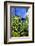 Jardin Majorelle - Marrakech - Morocco - North Africa - Africa-Philippe Hugonnard-Framed Photographic Print