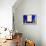 Jardin Majorelle - Marrakech - Morocco - North Africa - Africa-Philippe Hugonnard-Framed Premier Image Canvas displayed on a wall