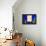 Jardin Majorelle - Marrakech - Morocco - North Africa - Africa-Philippe Hugonnard-Framed Premier Image Canvas displayed on a wall