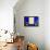 Jardin Majorelle - Marrakech - Morocco - North Africa - Africa-Philippe Hugonnard-Framed Premier Image Canvas displayed on a wall