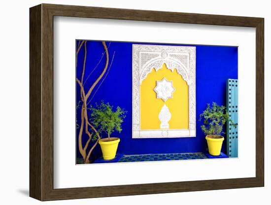 Jardin Majorelle - Marrakech - Morocco - North Africa - Africa-Philippe Hugonnard-Framed Photographic Print