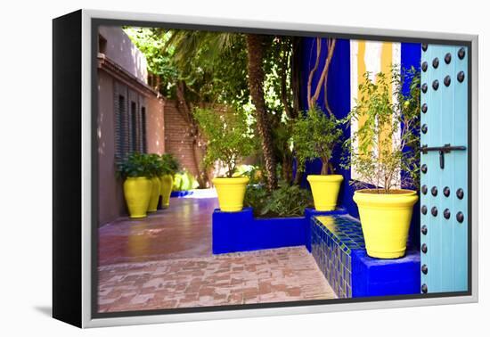 Jardin Majorelle - Marrakech - Morocco - North Africa - Africa-Philippe Hugonnard-Framed Premier Image Canvas