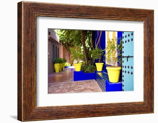 Jardin Majorelle - Marrakech - Morocco - North Africa - Africa-Philippe Hugonnard-Framed Photographic Print