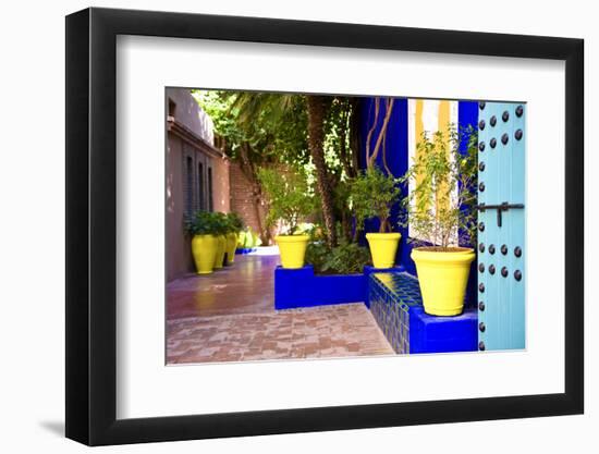 Jardin Majorelle - Marrakech - Morocco - North Africa - Africa-Philippe Hugonnard-Framed Photographic Print