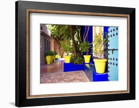 Jardin Majorelle - Marrakech - Morocco - North Africa - Africa-Philippe Hugonnard-Framed Photographic Print