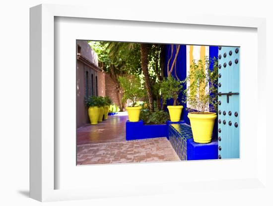 Jardin Majorelle - Marrakech - Morocco - North Africa - Africa-Philippe Hugonnard-Framed Photographic Print