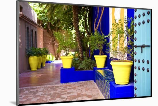 Jardin Majorelle - Marrakech - Morocco - North Africa - Africa-Philippe Hugonnard-Mounted Photographic Print