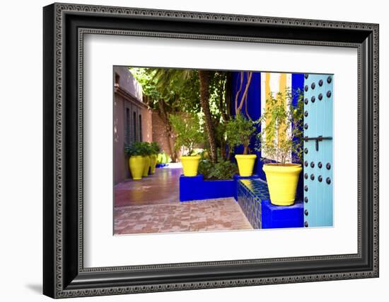 Jardin Majorelle - Marrakech - Morocco - North Africa - Africa-Philippe Hugonnard-Framed Photographic Print