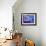 Jardin Majorelle, Marrakech, Morocco-Bruno Morandi-Framed Photographic Print displayed on a wall