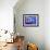 Jardin Majorelle, Marrakech, Morocco-Bruno Morandi-Framed Photographic Print displayed on a wall