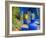 Jardin Majorelle, Marrakech, Morocco-Nico Tondini-Framed Photographic Print