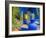 Jardin Majorelle, Marrakech, Morocco-Nico Tondini-Framed Photographic Print