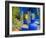 Jardin Majorelle, Marrakech, Morocco-Nico Tondini-Framed Photographic Print