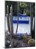 Jardin Majorelle, Marrakesh (Marrakech), Morocco, North Africa, Africa-Bruno Morandi-Mounted Photographic Print