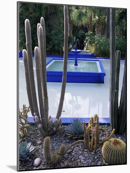 Jardin Majorelle, Marrakesh (Marrakech), Morocco, North Africa, Africa-Bruno Morandi-Mounted Photographic Print