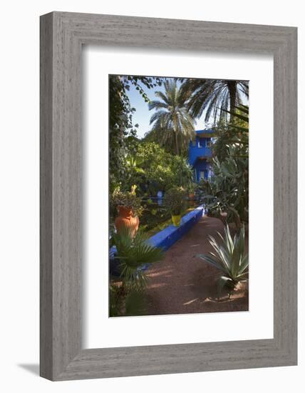 Jardin Majorelle, Owned by Yves St. Laurent, Marrakech, Morocco, North Africa, Africa-Stephen Studd-Framed Photographic Print