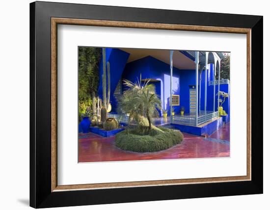 Jardin Majorelle, Owned by Yves St. Laurent, Marrakech, Morocco, North Africa, Africa-Stephen Studd-Framed Photographic Print